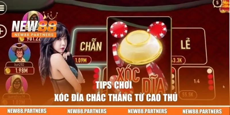 Xóc Đĩa Online | Tham Gia Hôm Nay Nhận Ngay Quà Khủng  3 Tips chơi Xóc Đĩa chắc thắng từ cao thủ