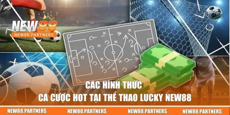 Lucky Sports | Điểm Đến Lý Tưởng Cho Tín Đồ Đam Mê Thể Thao 3 Các kèo cược cực hot tại thể thao Lucky New88