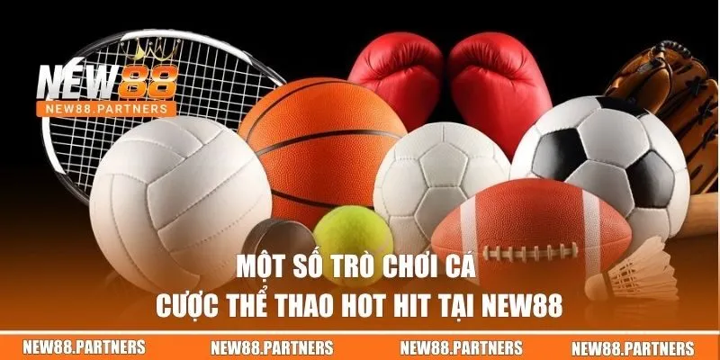 Saba Sports | Sảnh Cá Cược Thể Thao Đa Dạng Tại New88  3 Một số trò chơi cá cược thể thao hot hit tại New88